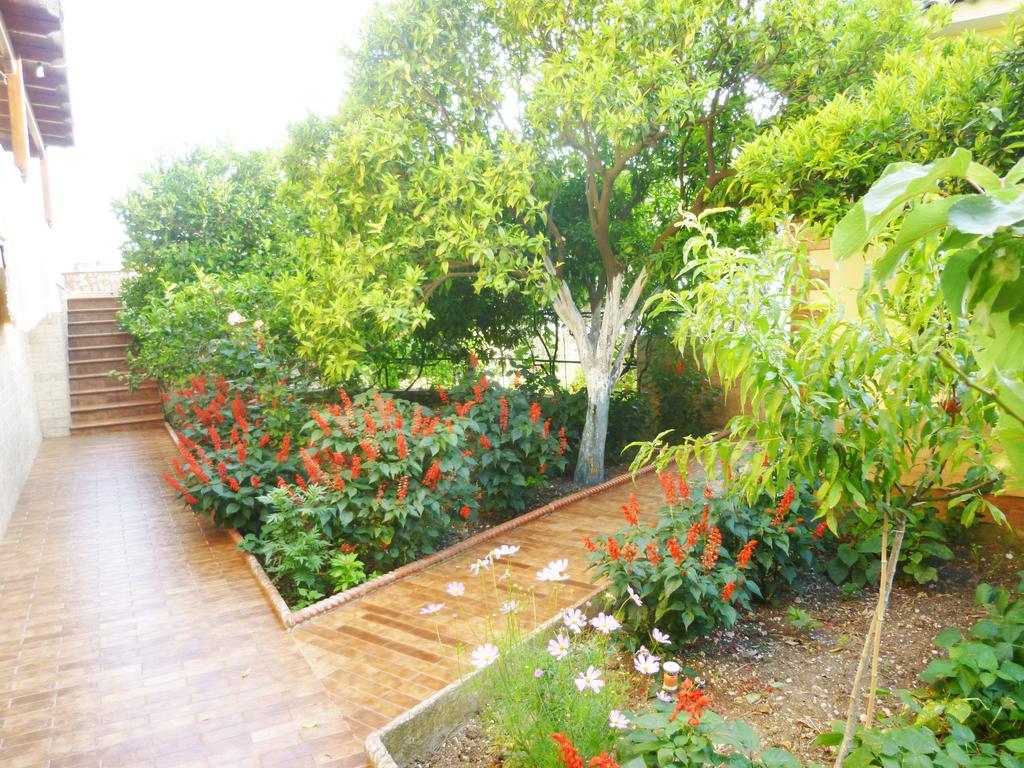 Vila Altini Borsh Luaran gambar
