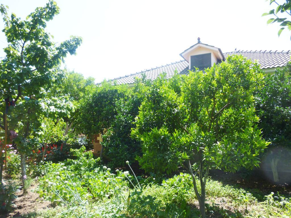 Vila Altini Borsh Luaran gambar